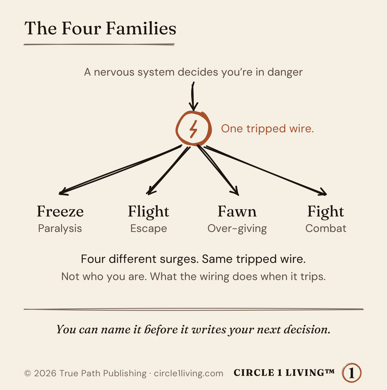 The Four Families: one tripped wire, four surges. Freeze is paralysis, Flight is escape, Fawn is over-giving, Fight is combat.